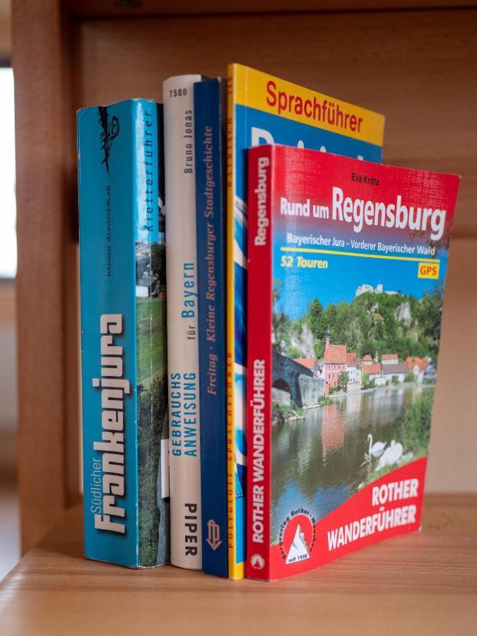 Stifterfelsen Ferienwohnung Sinzing 外观 照片